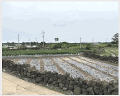  2025Ÿ��1400  �����