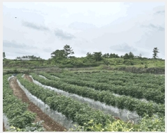  2025Ÿ��1400  �����