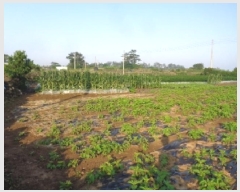  2025Ÿ��1400  �����