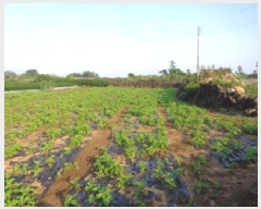  2025Ÿ��1400  �����