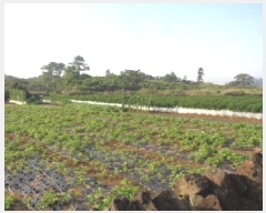  2025Ÿ��1400  �����