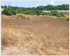  2025Ÿ��1409 ���� �������� �ȴ��� ������ 21-1      ����(��1)���