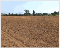  2025Ÿ��1409 ���� �������� �ȴ��� ������ 21-1      ����(��1)���