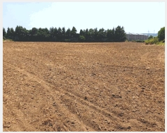  2025Ÿ��1409 ���� �������� �ȴ��� ������ 21-1      ����(��1)���