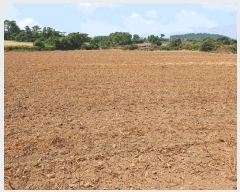  2025Ÿ��1409 ���� �������� �ȴ��� ������ 21-1      ����(��1)���