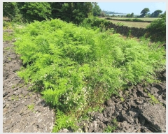  2025Ÿ��1409 ���� �������� �ȴ��� ������ 21-1      ����(��1)���