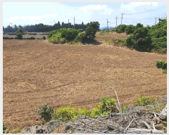  2025Ÿ��1409 ���� �������� �ȴ��� ������ 21-1      ����(��1)���