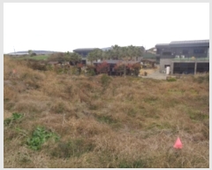  2025Ÿ��6341 ���� �������� ������ �ŵ��� 1582      ����(��1)���