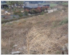  2025Ÿ��6341 ���� �������� ������ �ŵ��� 1582      ����(��1)���