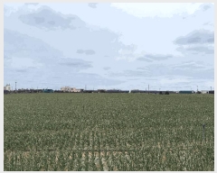  2025Ÿ7469     1613-3      (1)