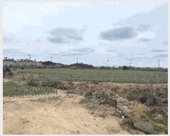  2025Ÿ7469     1613-3      (1)