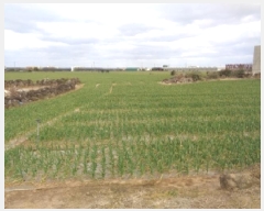  2025Ÿ7469     1613-3      (1)