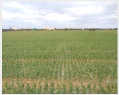  2025Ÿ7469     1613-3      (1)