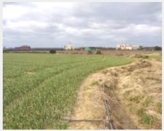  2025Ÿ7469     1613-3      (1)