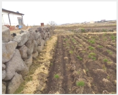  2025Ÿ7496     287      ,繫ǰ