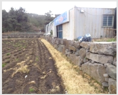  2025Ÿ7496     287      ,繫ǰ