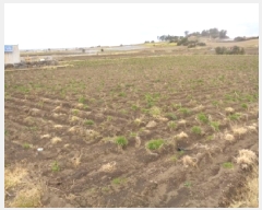  2025Ÿ7496     287      ,繫ǰ