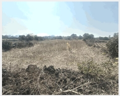  2025Ÿ7523     1516      ()