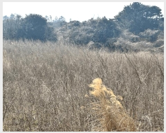  2025Ÿ7523     1516      ()