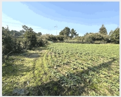  2025Ÿ7523     1516      ()