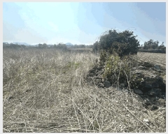  2025Ÿ7523     1516      ()