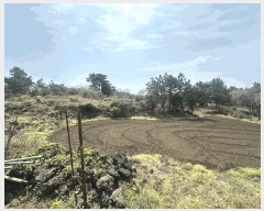  2025Ÿ7523     1516      ()