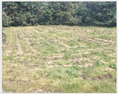  2025Ÿ7523     1516      ()