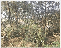  2025Ÿ7532   ǥ ǥ 1105      (Ӿ)