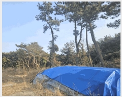  2025Ÿ7532   ǥ ǥ 1105      (Ӿ)