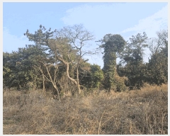  2025Ÿ7532   ǥ ǥ 1105      (Ӿ)