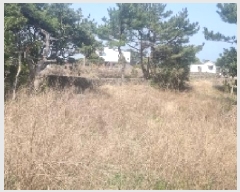  2025Ÿ7532   ǥ ǥ 1105      (Ӿ)