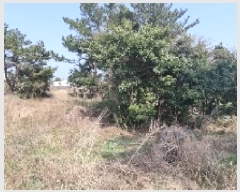  2025Ÿ7532   ǥ ǥ 1105      (Ӿ)