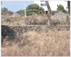  2025Ÿ7532   ǥ ǥ 1105      (Ӿ)