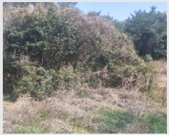  2025Ÿ7532   ǥ ǥ 1105      (Ӿ)