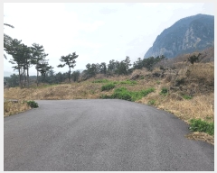  2025Ÿ��7630  �Ӿ߰��