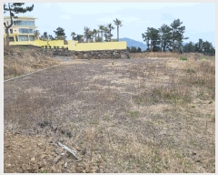  2025Ÿ��7630  �Ӿ߰��