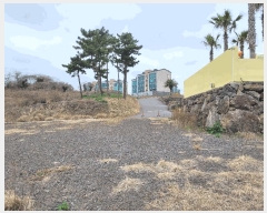  2025Ÿ��7630  �Ӿ߰��