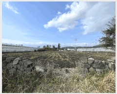  2025Ÿ��7666 ���� �������� ǥ���� ��ȭ�� 303-1      ����(��1)���