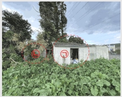  2025Ÿ��7666 ���� �������� ǥ���� ��ȭ�� 303-1      ����(��1)���