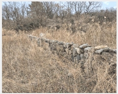  2025Ÿ��7678 ���� ���ֽ� ��� ��108       ����(�Ӿ�)���