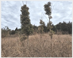  2025Ÿ��7678 ���� ���ֽ� ��� ��108       ����(�Ӿ�)���