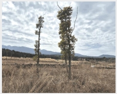  2025Ÿ��7678 ���� ���ֽ� ��� ��108       ����(�Ӿ�)���