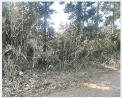  2025Ÿ��7703 ���� �������� ������ ���긮 3981      ����(�������)���