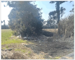  2025Ÿ��7703 ���� �������� ������ ���긮 3981      ����(�������)���