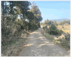  2025Ÿ��7703 ���� �������� ������ ���긮 3981      ����(�������)���