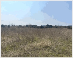  2025Ÿ��7703 ���� �������� ������ ���긮 3981      ����(�������)���