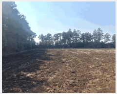  2025Ÿ��7703 ���� �������� ������ ���긮 3981      ����(�������)���