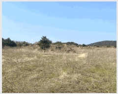  2025Ÿ��7703 ���� �������� ������ ���긮 3981      ����(�������)���