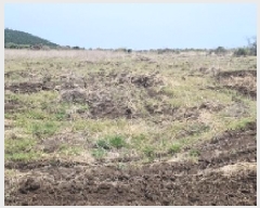  2025Ÿ��7703 ���� �������� ������ ���긮 3981      ����(�������)���