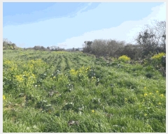  2025Ÿ��7738  �����